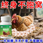 母鸡醒抱药速效醒抱灵家禽不再恋窝趴窝鸡鸭鹅抱窝醒不让母鸡孵化