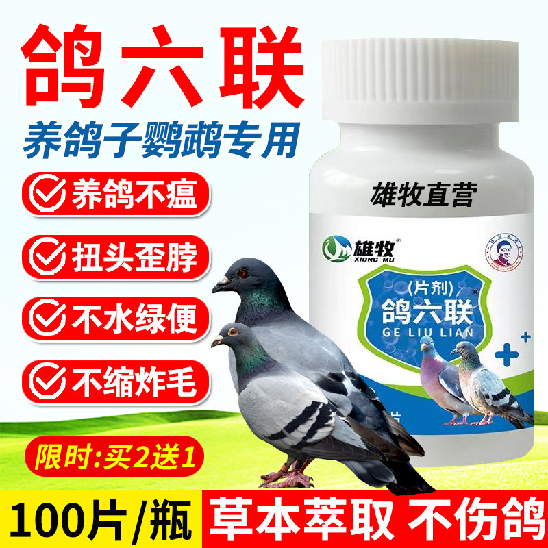鸽六联片鸽子专用扭头歪脖药不瘟