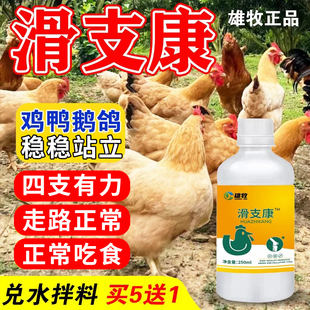 雄牧滑支康鸡脚趾粗肿站不起腿来瘸不腿软愿走动滑支囊鸡鸭鹅原体