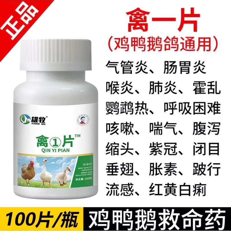 禽一片养鸡专用鸡药大全当天见校