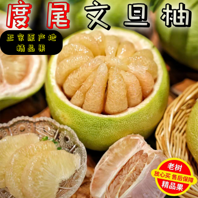 正宗度尾文旦柚10斤整箱
