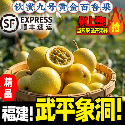 福建龙岩武平象洞钦蜜9号黄金百香果5斤包邮大果特大果新鲜水果