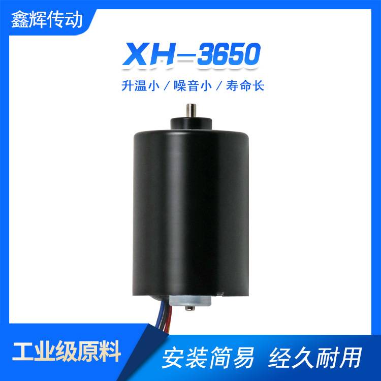 3650微型马达低压大功率高转速 电动工具风扇吸尘器无刷直流电机