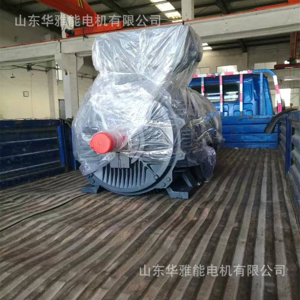 山东华力YE2-315M-4-132电机替代皖南电机转速4极1490转功率132KW