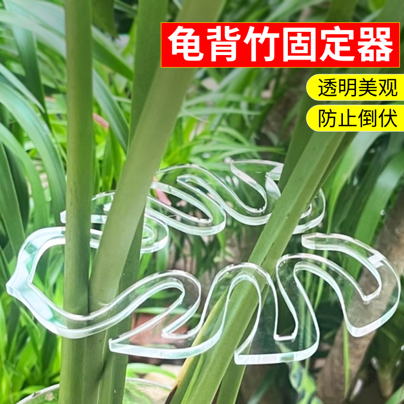 速发龟水竹支撑杆防倒伏固定器花艺花卉春雨支架绿植物背培枝干园