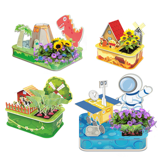 速发儿童种植观你小盆栽植物迷学生长发芽创意小实验察生男花园