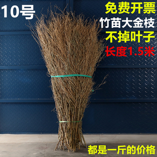 速发饰枝子扫把竹竹竹叶子苗枝竹子竹条扫把头竹竹子头条装竹摆件