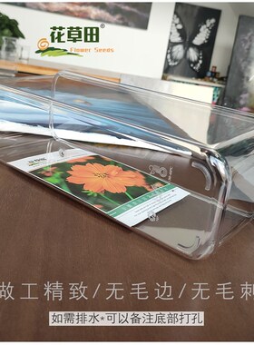 加长款透明花盆底部无孔水培土培种花种菜盆PEPT高档观察根系实验