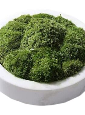 现代轻奢新中式大理石永生苔藓花艺 样板间售R楼部茶几台面饰品