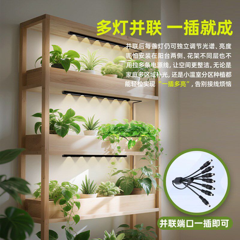 多彤植物生长灯全光谱多肉v补光上色灯切光谱室内绿植多肉补光防图片