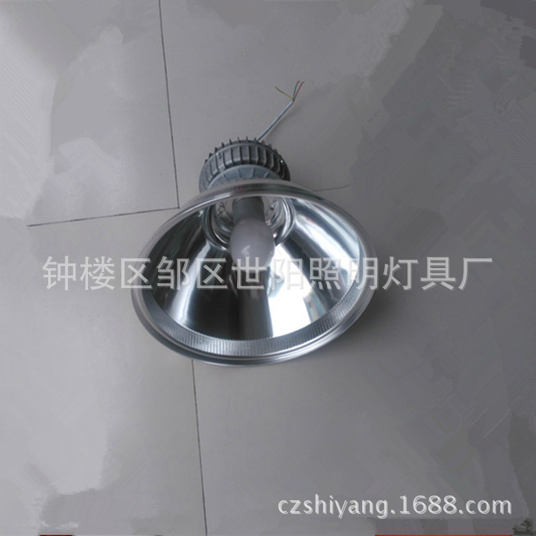 120W150W200W无极灯工矿灯低频高频无极灯配灯罩