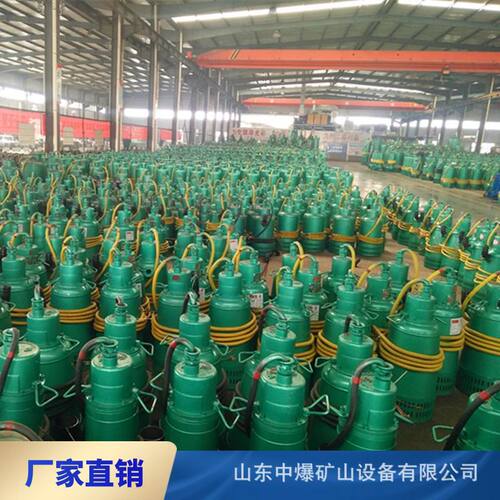 BQS矿用隔爆排沙排污潜水泵