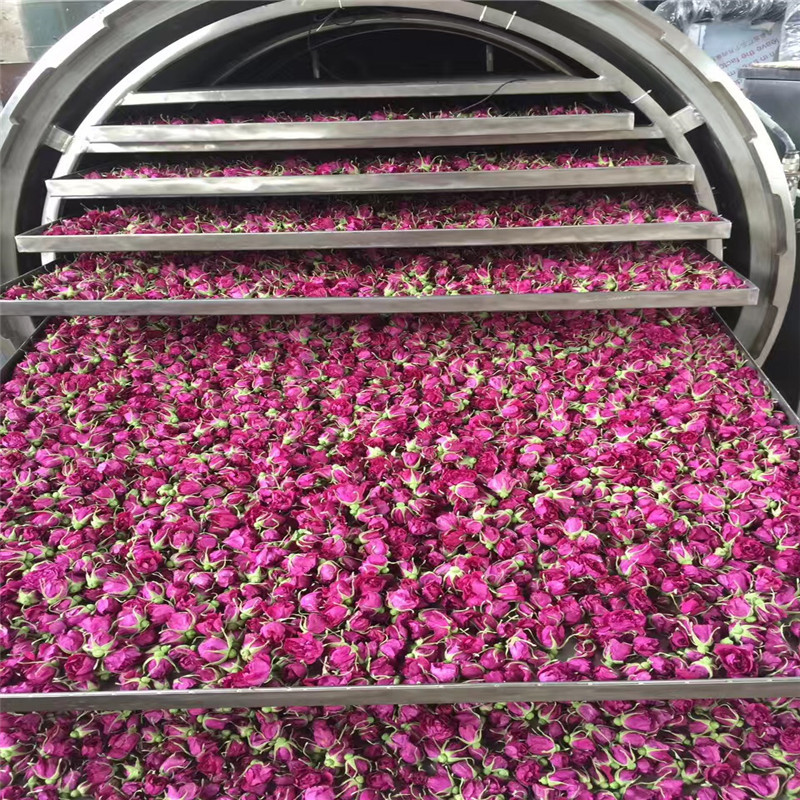 榴莲干芒果片真空冻干机 菠萝蜜冻干机厂家 低温冷冻干燥一体机