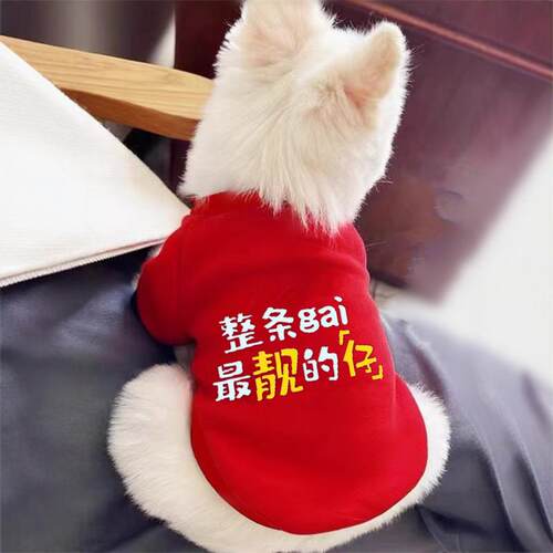 可爱猫咪狗狗宠物衣服秋冬装中小型犬吉娃娃雪纳瑞比熊泰迪防掉毛