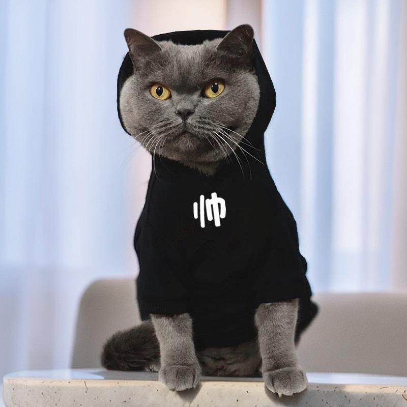小猫咪搞笑衣服秋冬中小型犬狗狗虎斑德文布偶猫加绒保暖宠物卫衣