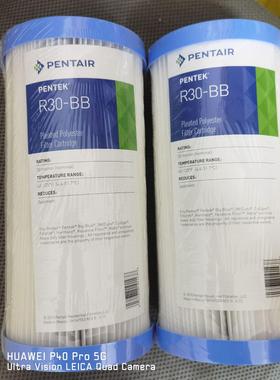 Pentair PENTEK滨特尔泳池滤芯 10寸大胖折纸滤芯R30-BB R50-BB
