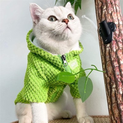 速发猫咪衣服冬层小猫布偶英短银渐季秋可冬爱冬天防掉毛棉衣