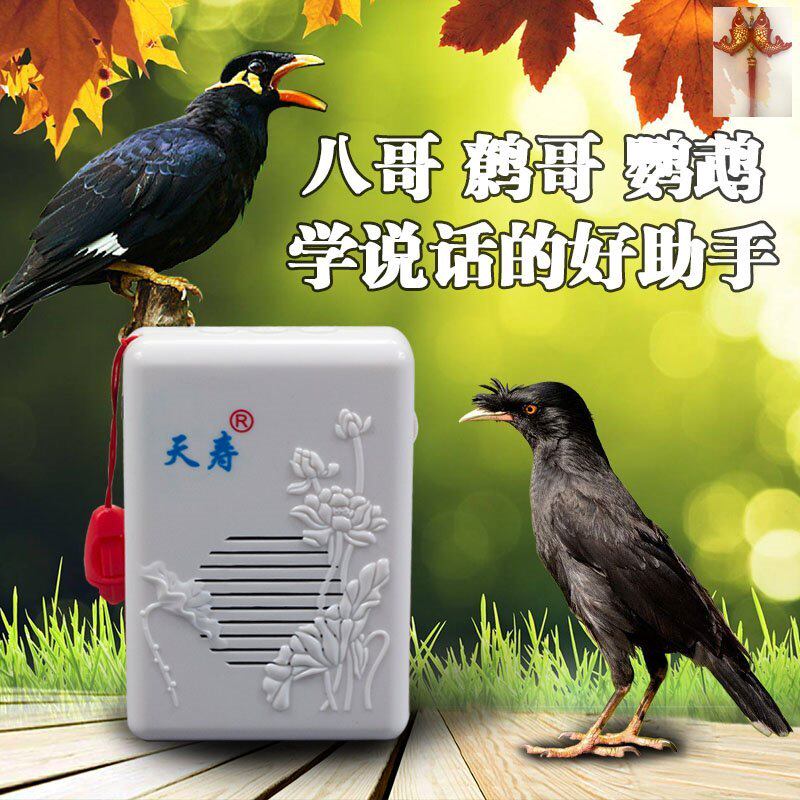 现货速发教鸟说话神器训练机会复读机鹦鹉学话录音鹩哥鸟学话机八