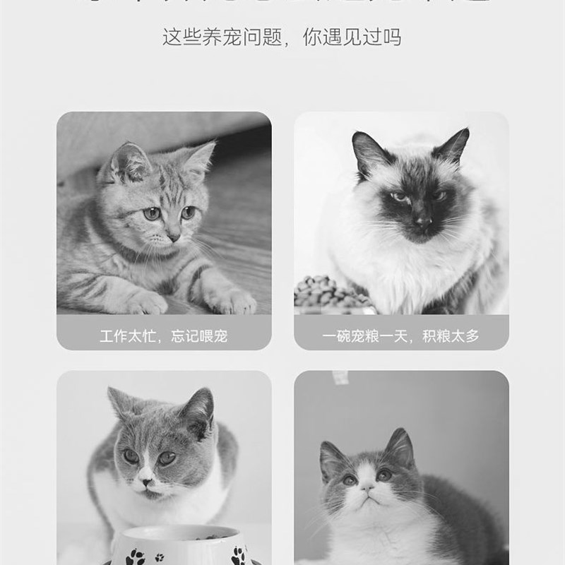 热销猫碗水盆食盆二合一猫咪自动饮水喂食一体式狗碗宠物用品猫狗