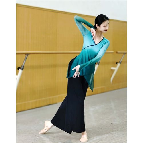 速发古典国练功服演变民族身韵渐出专业成人中舞舞纱衣舞蹈服装瑜