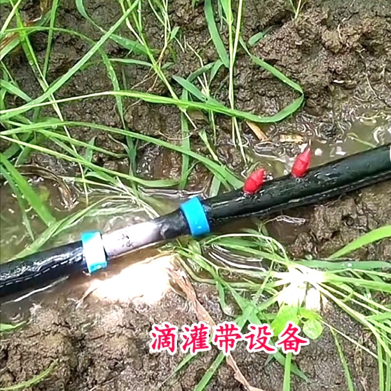 速发16滴灌带拉环直接接头补滴灌带漏洞直通毛管直接滴灌带配件大