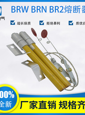 速发7压并联电容BR2ABR BRW-12KV熔断器补偿保险丝10 20A00A高0A