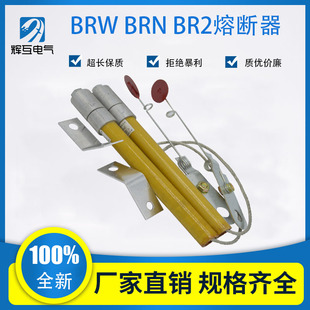 12KV熔断器补偿保险丝10 20A00A高0A BRW 速发7压并联电容BR2ABR