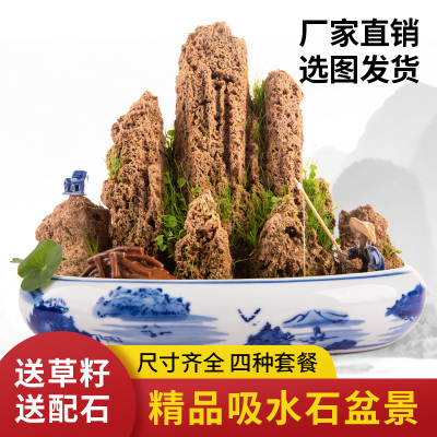 速发吸水石盆景上水石假山原饰微景观造景装石石头观赏小摆件
