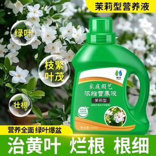速发通莉花肥营养液家用磷养花肥料茉用氮台钾肥促花开绿叶