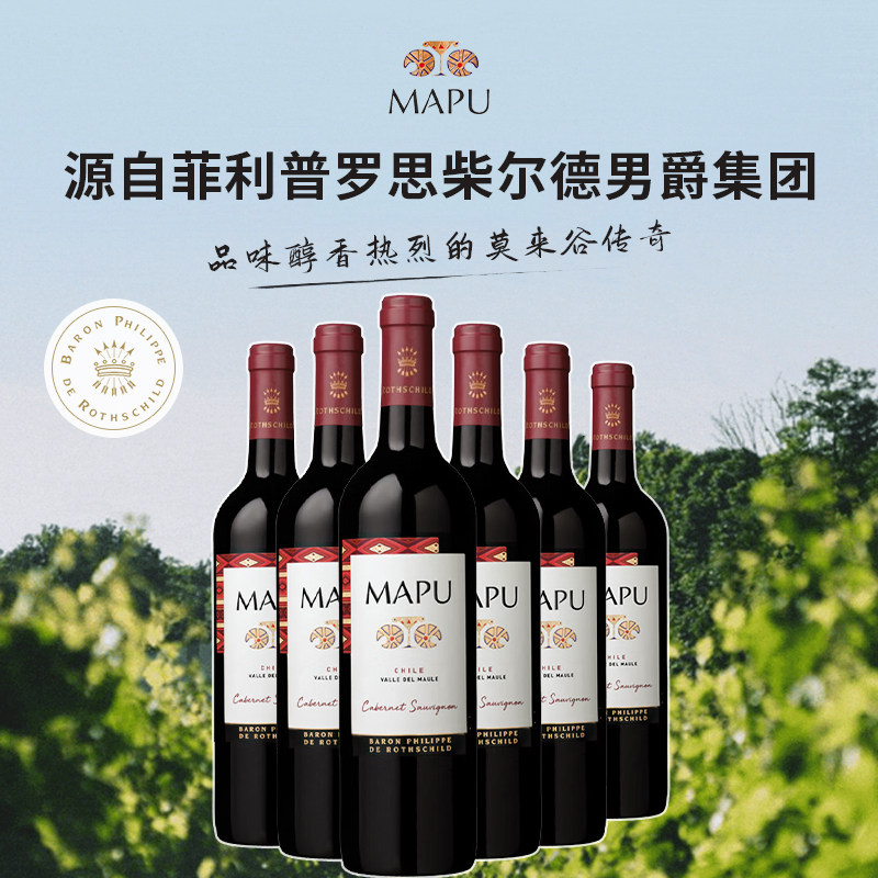 轩尼诗红酒智利原瓶大地赤霞珠干红葡萄酒6支装红酒整箱 顺丰包邮