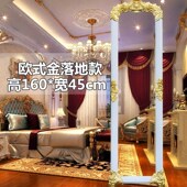 穿衣镜落地少女复古省空间公主新款 美容院立式 家用可爱镜q子全身