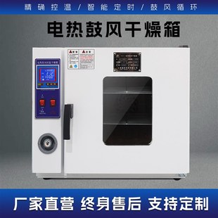 电热恒温鼓风干燥箱高温加热烘干箱小型加热工业R医用实验室烘干