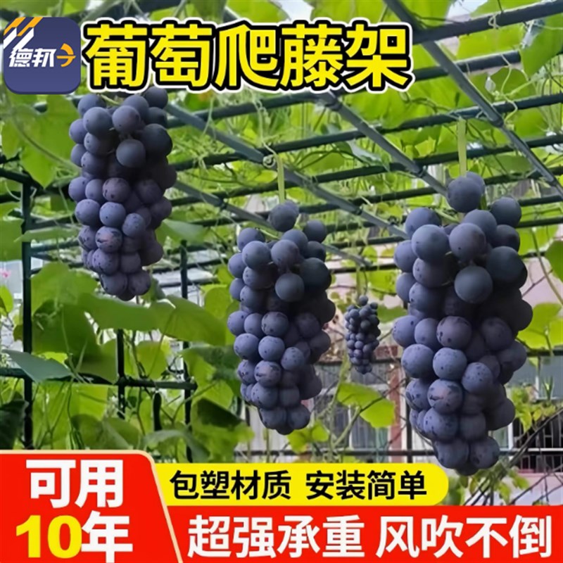 葡萄架子户外室外园艺爬藤架包塑钢管爬藤支架Q百香果葡萄攀爬架