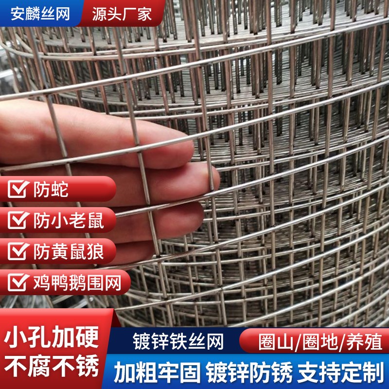 镀锌铁丝网e围栏网鸡鸭鹅兔鸟笼养殖网鼠蛇防护网养殖网格网铁丝