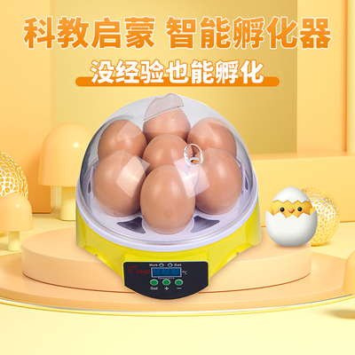 HHD 孵化器小型家用型鸡鸭乌龟鸟蛋孵蛋器自动控温智能孵化机