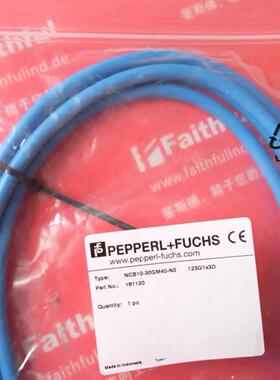 议~Pepperl+Fuchs 181120 倍加福接近传感