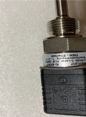 T-EIIerbek。德国进口温度探头，热电偶 TF21(崽崽配件）