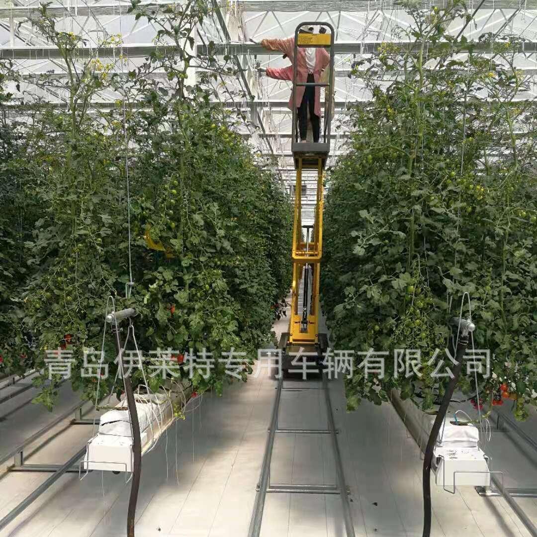 全自行式升降机,自行走,剪叉式升降车, 高空作业车 番茄采摘车