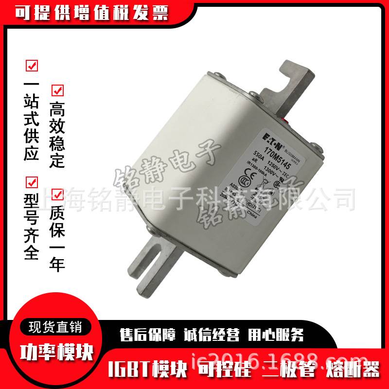 170M5142 170M5143 170M5144 170M5145 170M5146巴斯曼熔断器