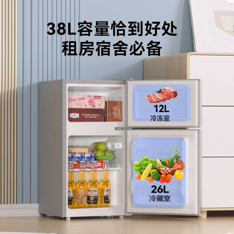 FRESTECH/新飞冰箱小型宿舍家用大容量双门冰箱冷冻保鲜一级能效