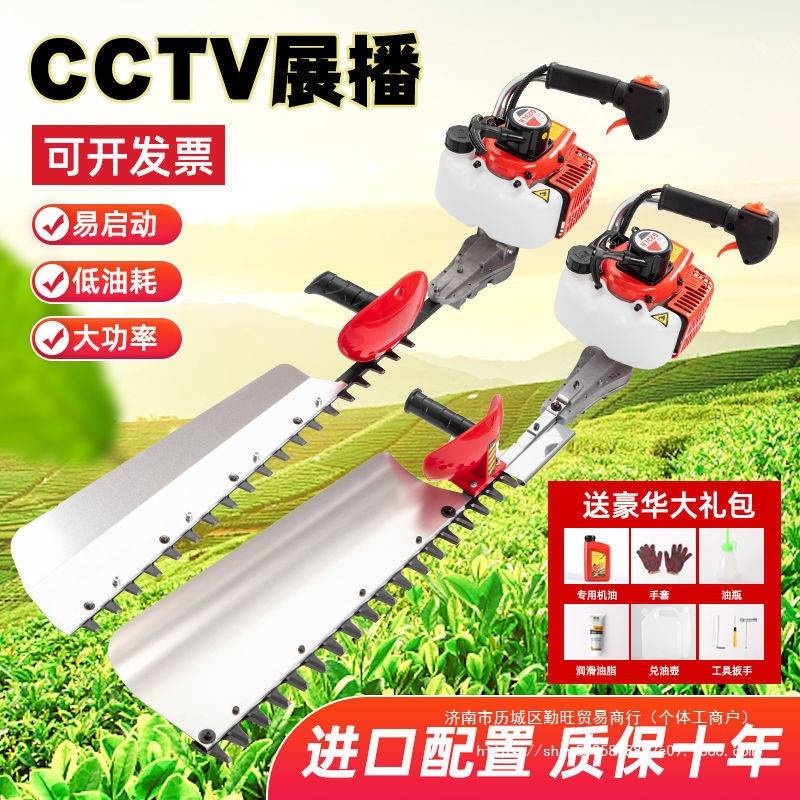 进口汽油绿篱机绿化茶树修剪机茶园剪茶机重修绿篱剪园林绿化剪草