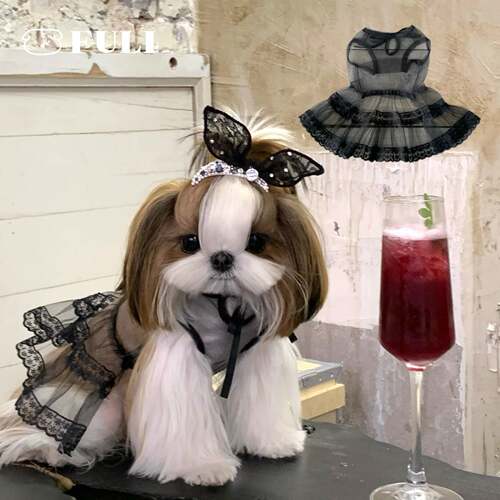 FULIPET「兔女郎」镂空网纱裙.朋克系列.西施犬马尔济斯比熊