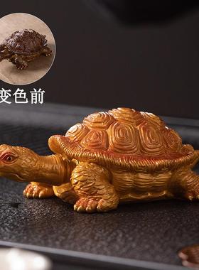创意变色金钱龟茶宠摆件精品可养小乌龟茶桌茶盘茶玩配件装饰摆设