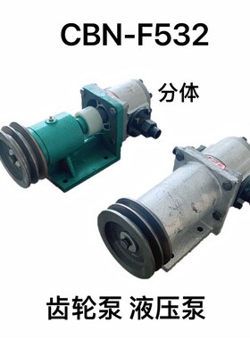 船用液压油泵 液压舵机齿轮泵CBN-E320/325/316液压泵F532分体泵