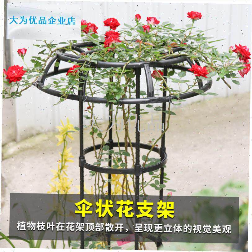 艺伞形花架月季花m爬藤架番茄黄瓜多层爬腾支架棒棒糖造型支架叶.