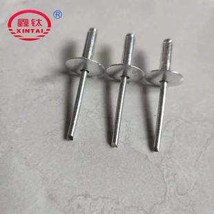 大BIT帽铝铆钉大帽芯铆拉钉大圆头拉钉抽铁大帽抽芯铆钉