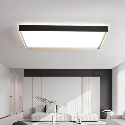 式极吸顶20简25年新款轻灯奢大53047气灯具个性意创意超亮智能客