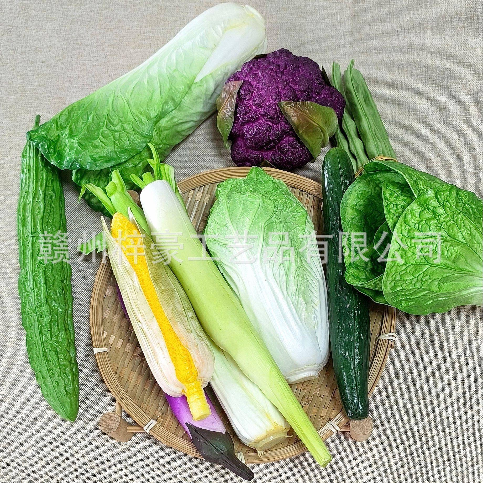 仿菜模型真塑板料091假水果青菜面包冰箱橱柜样房蔬儿童早教装饰
