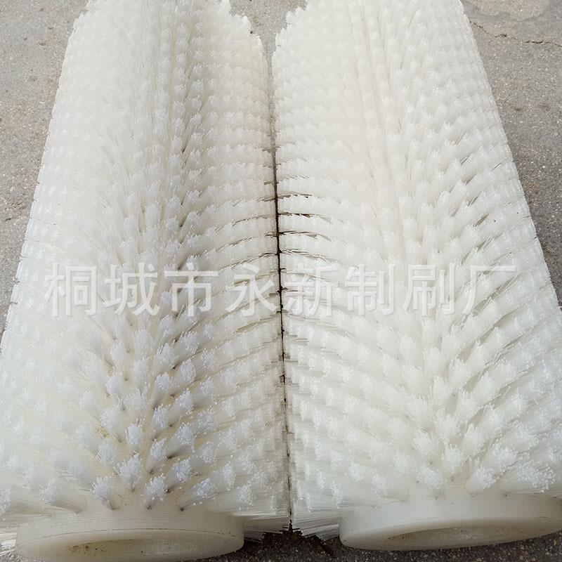 厂家水植毛NLY式毛刷辊除尘刷辊蔬洗菜土豆清果机尼龙丝毛刷辊