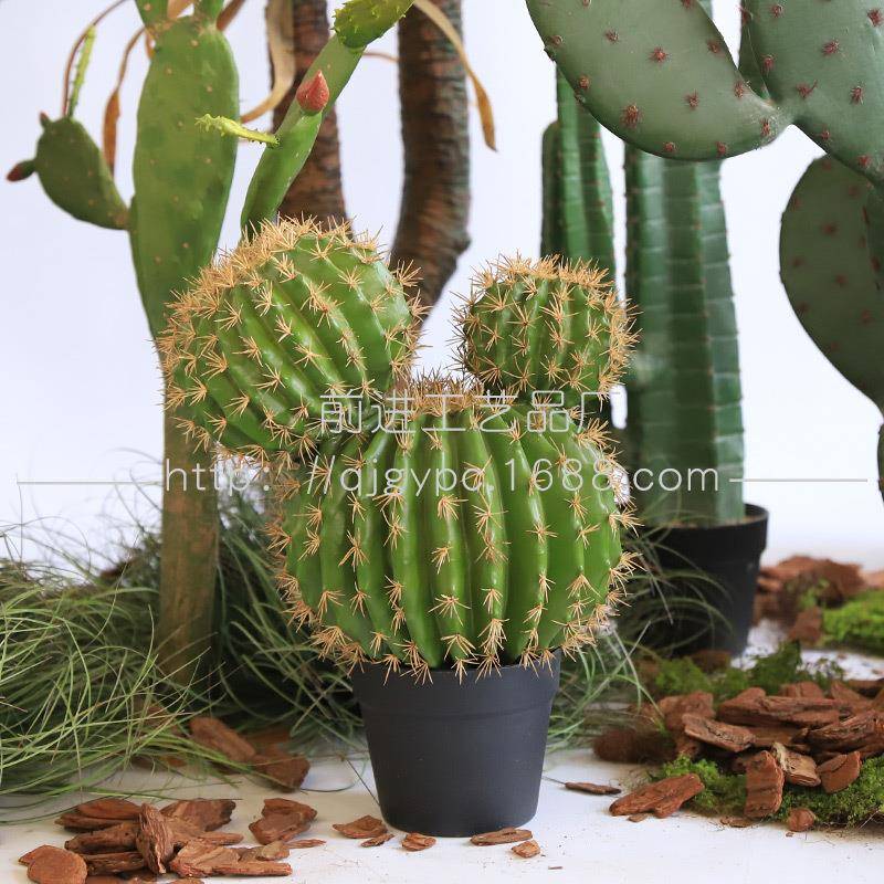 沙漠造景大型仙人掌仿真绿植假植物仙人掌仙人镜室内落地橱窗装饰